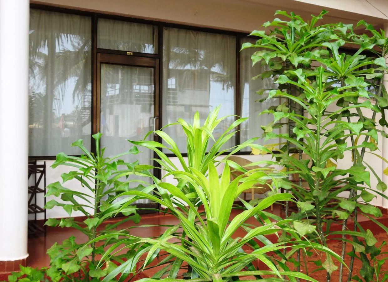 Am Hotel Kollection- Ivy, Morjim Exterior photo