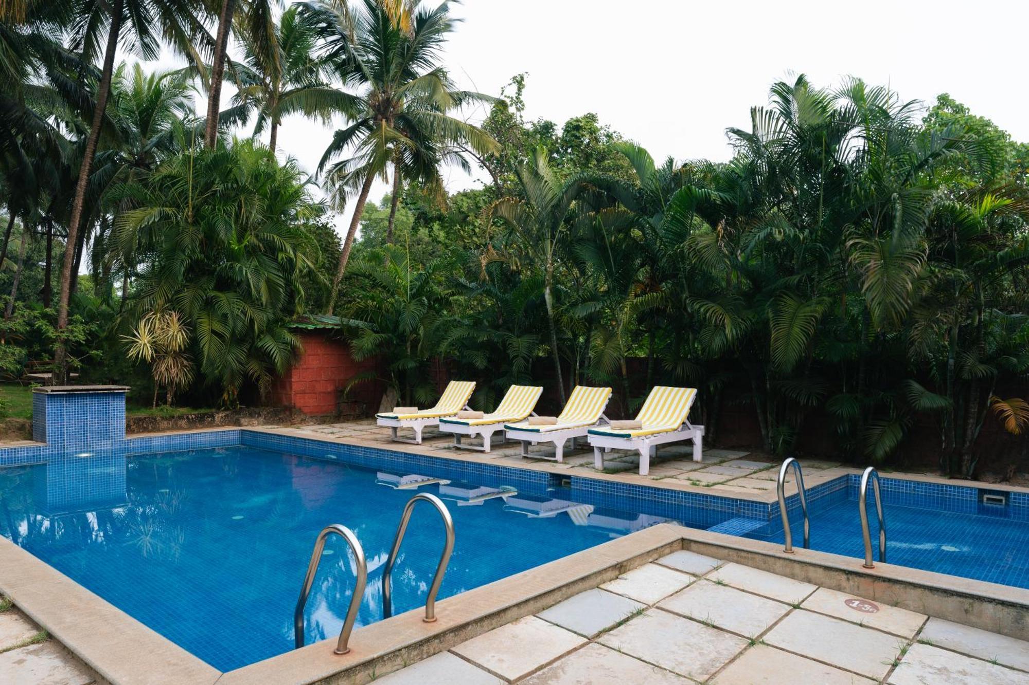 Am Hotel Kollection- Ivy, Morjim Exterior photo